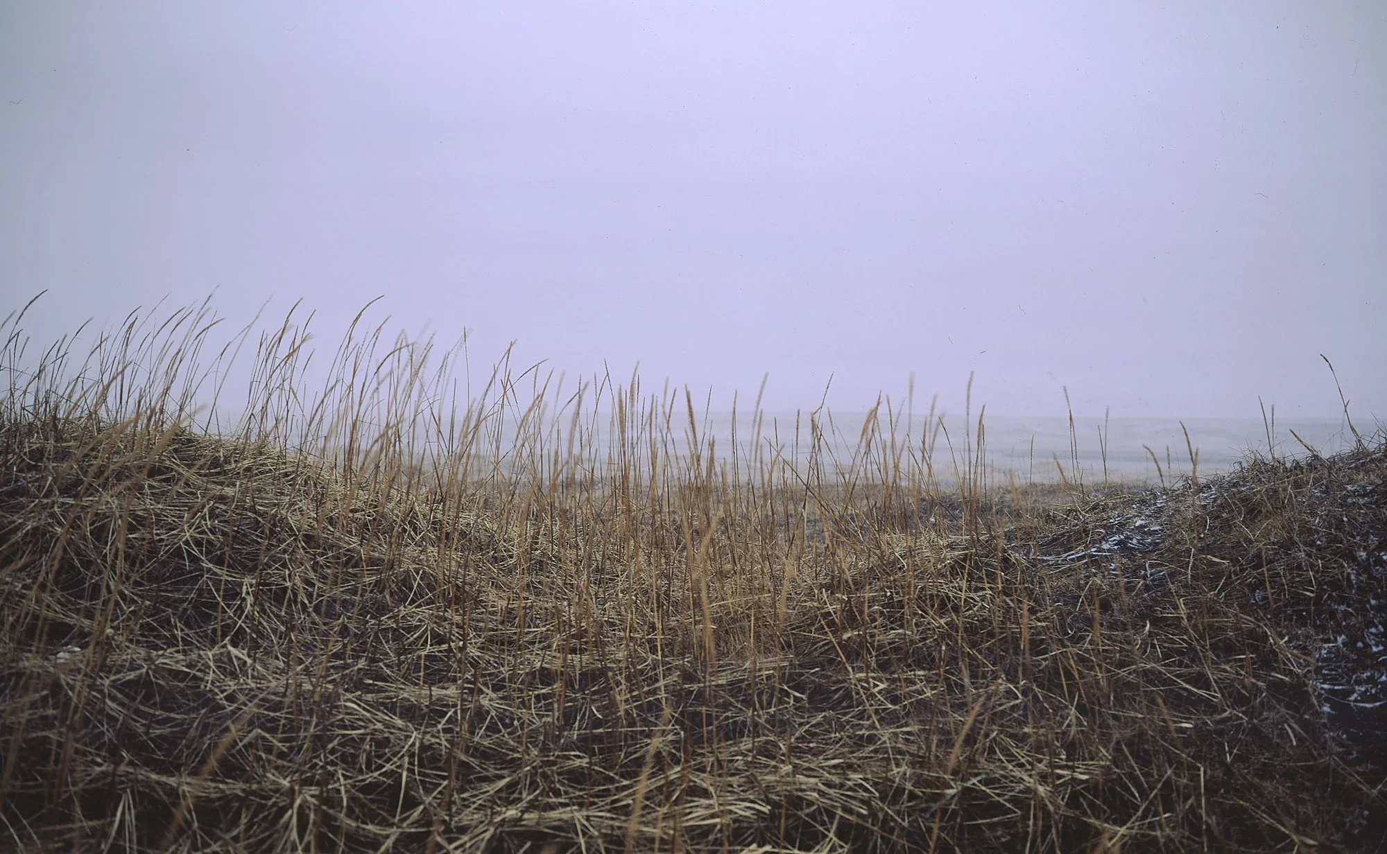 017 GW690 Velvia Dalvik 003a.jpg