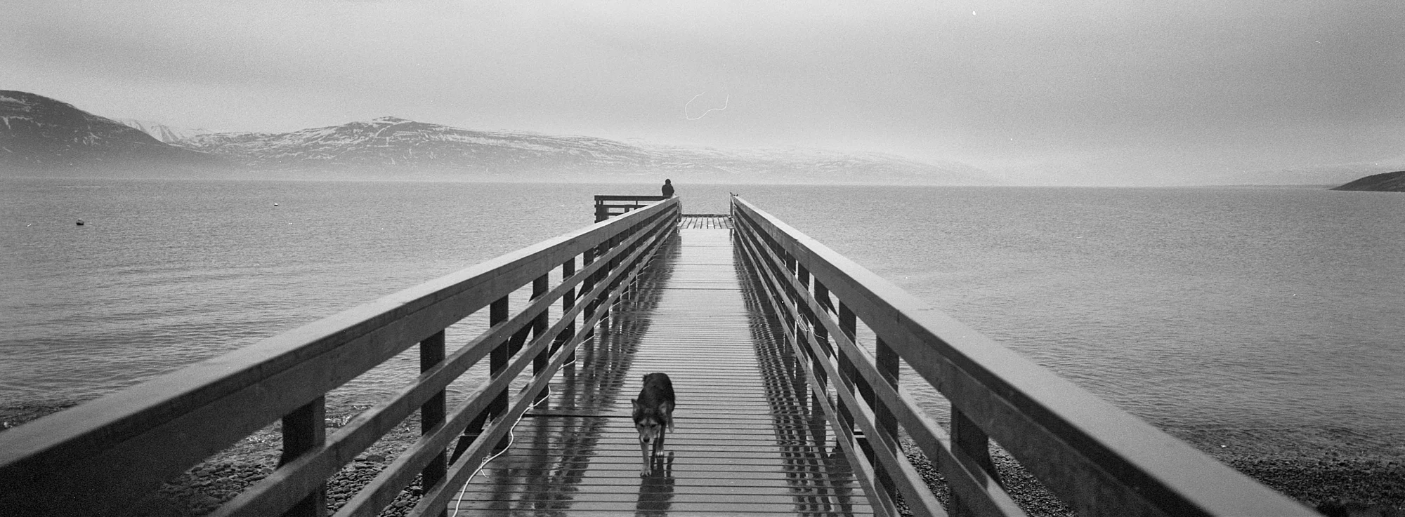 033 TX1 FP4 Hjalteyri 2017-04-30-0005.jpg