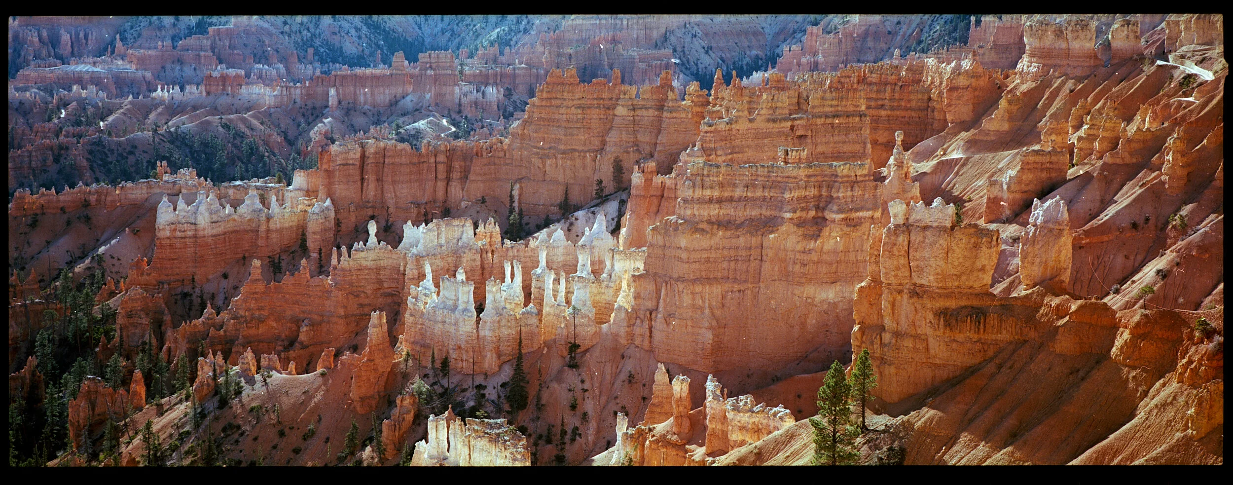 5715 12 ektar xpan.jpg