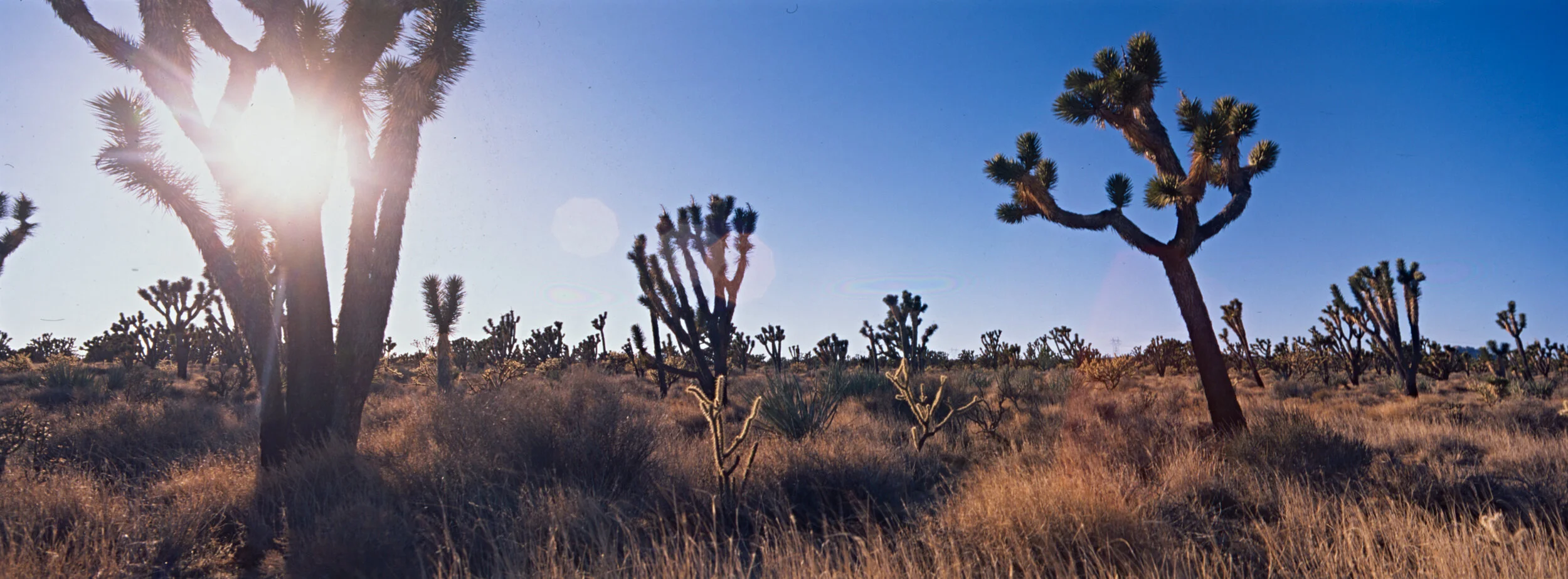 5792 01 velvia 50 xpan.jpg