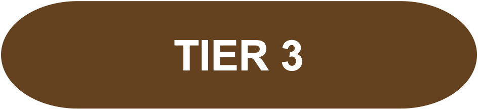 AI Strategy Roadmap Development & Planning