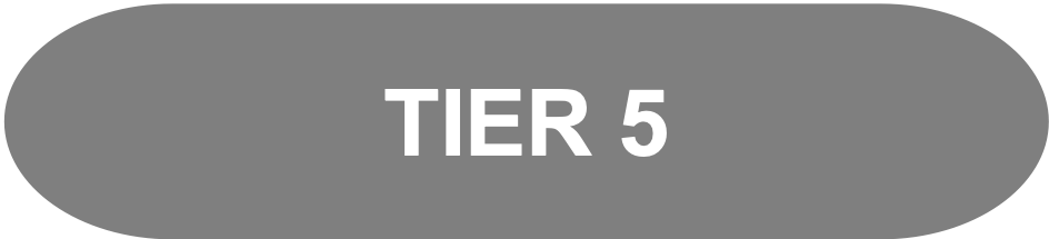 Comprehensive AI Strategy Roadmap Partnership