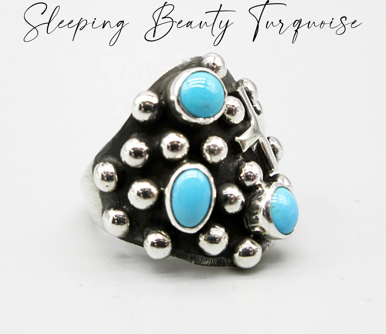 Plata de Santa Fe Jewelry