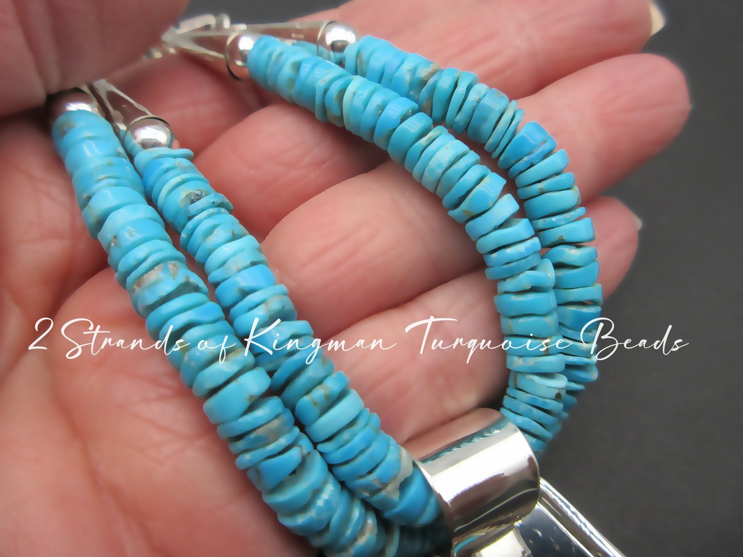 Plata de Santa Fe Jewelry