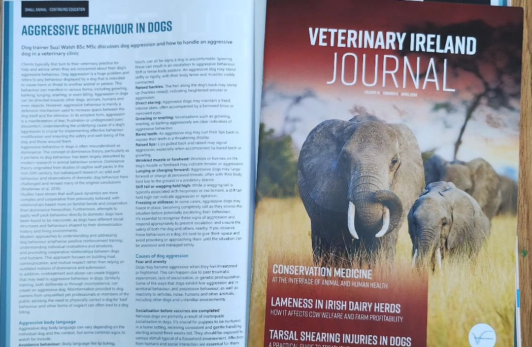 Delighted to have an article in Veterinary Journal Ireland all about handling dog aggression cases in a veterinarian environment. I feel so privileged and honoured to get to work with the most amazing veterinary professionals. Anyone working in a vet