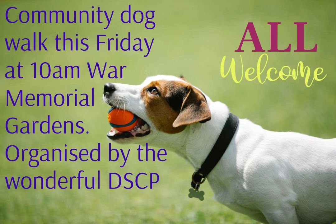 Come and ask a question, come and walk your dog. 10am to 11.30am. Tomorrow Friday 22nd March. War Memorial Gardens, Island Bridge Dublin.