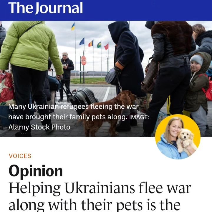 Comments had to be taken down and stopped on this article. Too much hate.

I think many people forget that a huge number of refugees do not have access to money. I know personally if I had to evacuate Ireland all my &quot;wealth&quot; is in my home. 