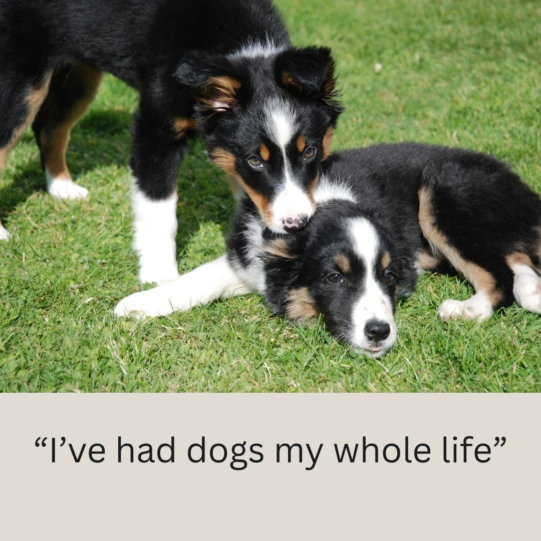 If you love your dog but sometimes feel you&rsquo;re winging it, you&rsquo;re not alone. Most of us grew up around dogs, picked up habits from family or TV, and then&hellip; stopped. That&rsquo;s normal human psychology. But dogs are living in our ho