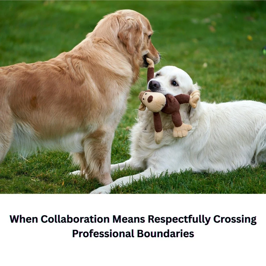 Some cases remind us that professional boundaries are essential but so is the willingness to stretch them when an animal&rsquo;s welfare depends on it.

There are times when staying  within our own &ldquo;job box&rdquo; isn&rsquo;t enough. A dog in p