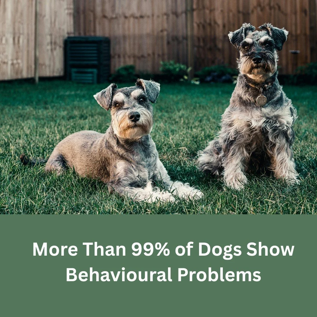 A recent study from Texas A&amp;M University&rsquo;s College of Veterinary Medicine  has revealed that more than 99% of dogs display at least one behaviour considered potentially problematic. The research, led by Dr. Bonnie Beaver and published in th