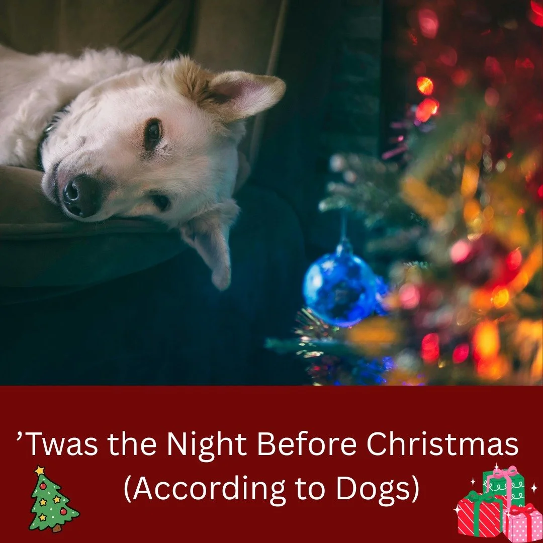 &rsquo;Twas the night before Christmas, and all through the house,
Not a creature was stirring&hellip; except me, and the mouse.
The stockings were hung by the fireplace with care,
Which I checked very closely. Twice. For snacks. Just in case they we