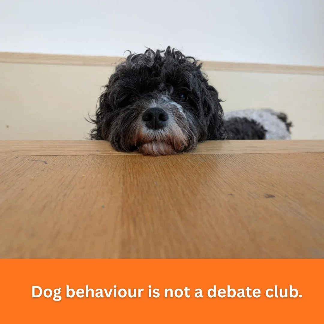 You do not get to &ldquo;disagree&rdquo; with science just because you do not like what it says.

Behaviour is studied. Measured. Tested. Re tested. Across thousands of dogs, not just the ones you have owned or trained.

So when someone says &ldquo;w