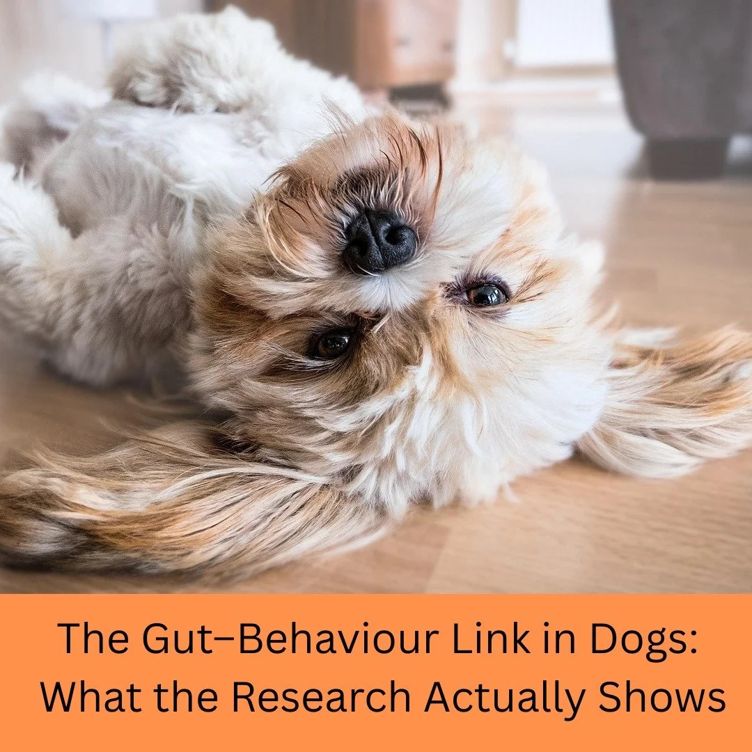 There is now meaningful published evidence showing that chronic gastrointestinal (GI) disease in dogs affects not only digestion, but behaviour, emotional regulation, and quality of life.

Here is what the research tells us:

📌 Chronic enteropathy r