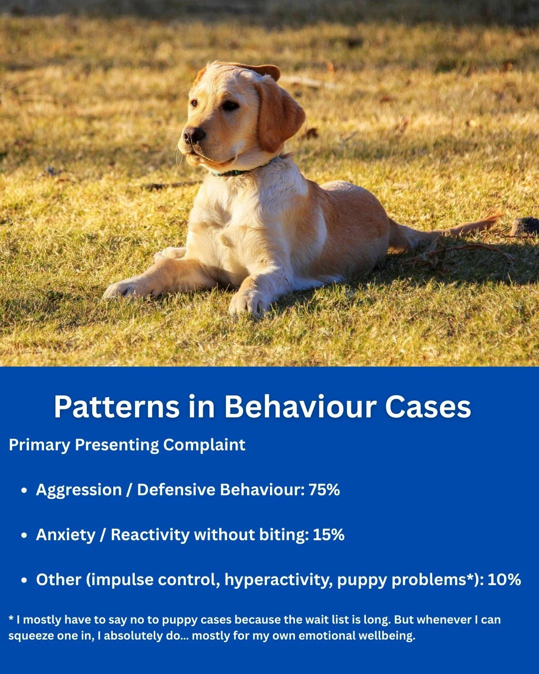 After mapping the 2025 cases in my practice, something very clear emerged. Around 75% of the dogs I see involve some form of aggression or defensive behaviour. In 2022 aggression and defensive behaviour was approximately 30% of my caseload. That's a 