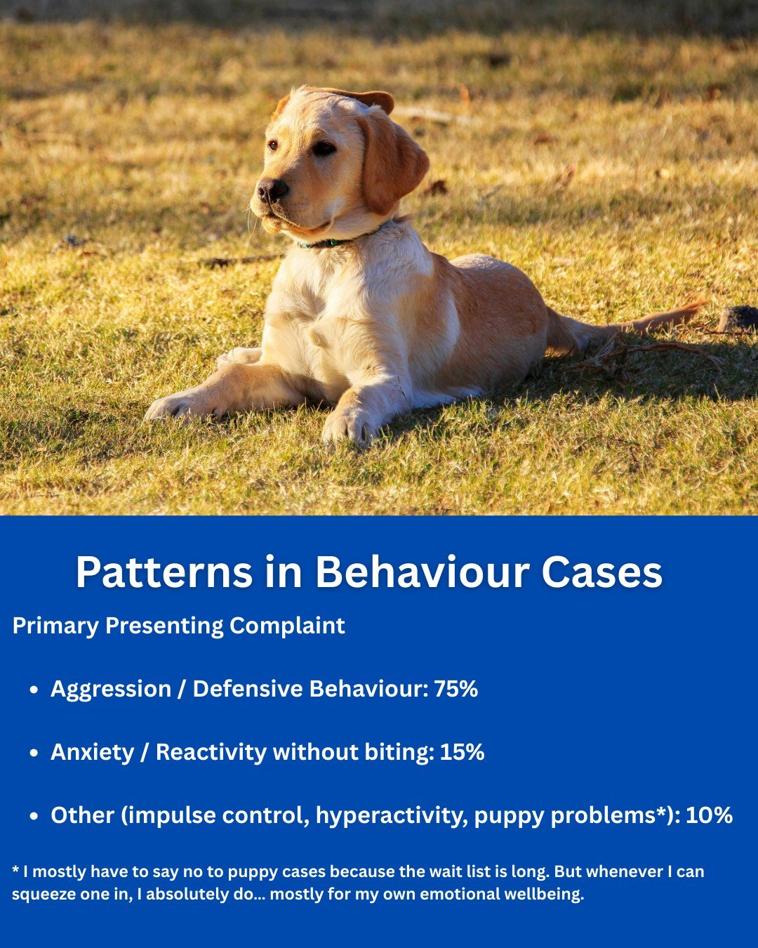 After mapping the 2025 cases in my practice, something very clear emerged. Around 75% of the dogs I see involve some form of aggression or defensive behaviour. In 2022 aggression and defensive behaviour was approximately 30% of my caseload. That's a 