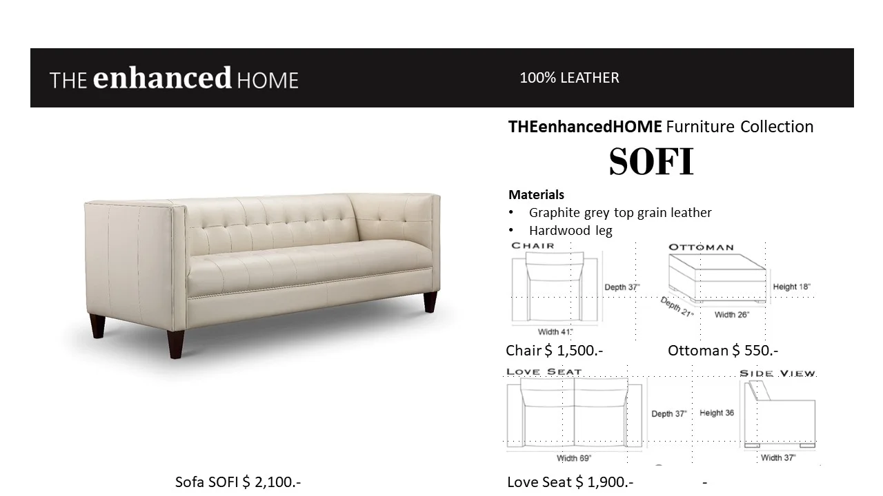 Furniture SOFI 1.jpg