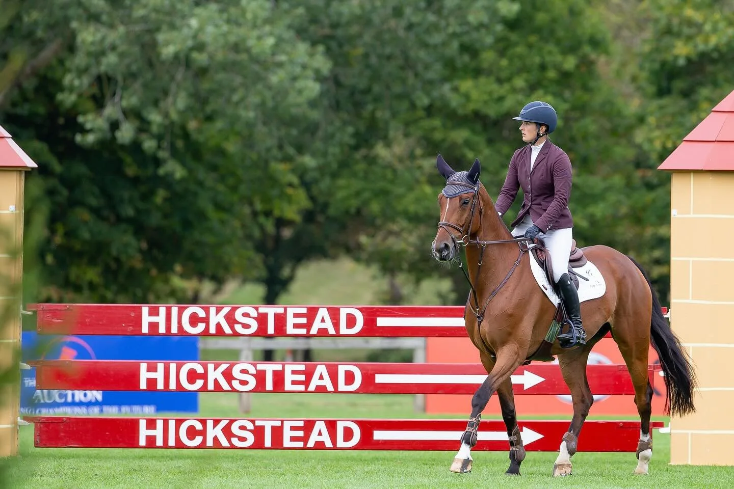 Main Arena moments courtesy of the amazing @bootsandhoovesphotography 📸 
Can&rsquo;t wait to get in back there this week with the team 🤞🏼

#hickstead #photography #mainarena #weektwo