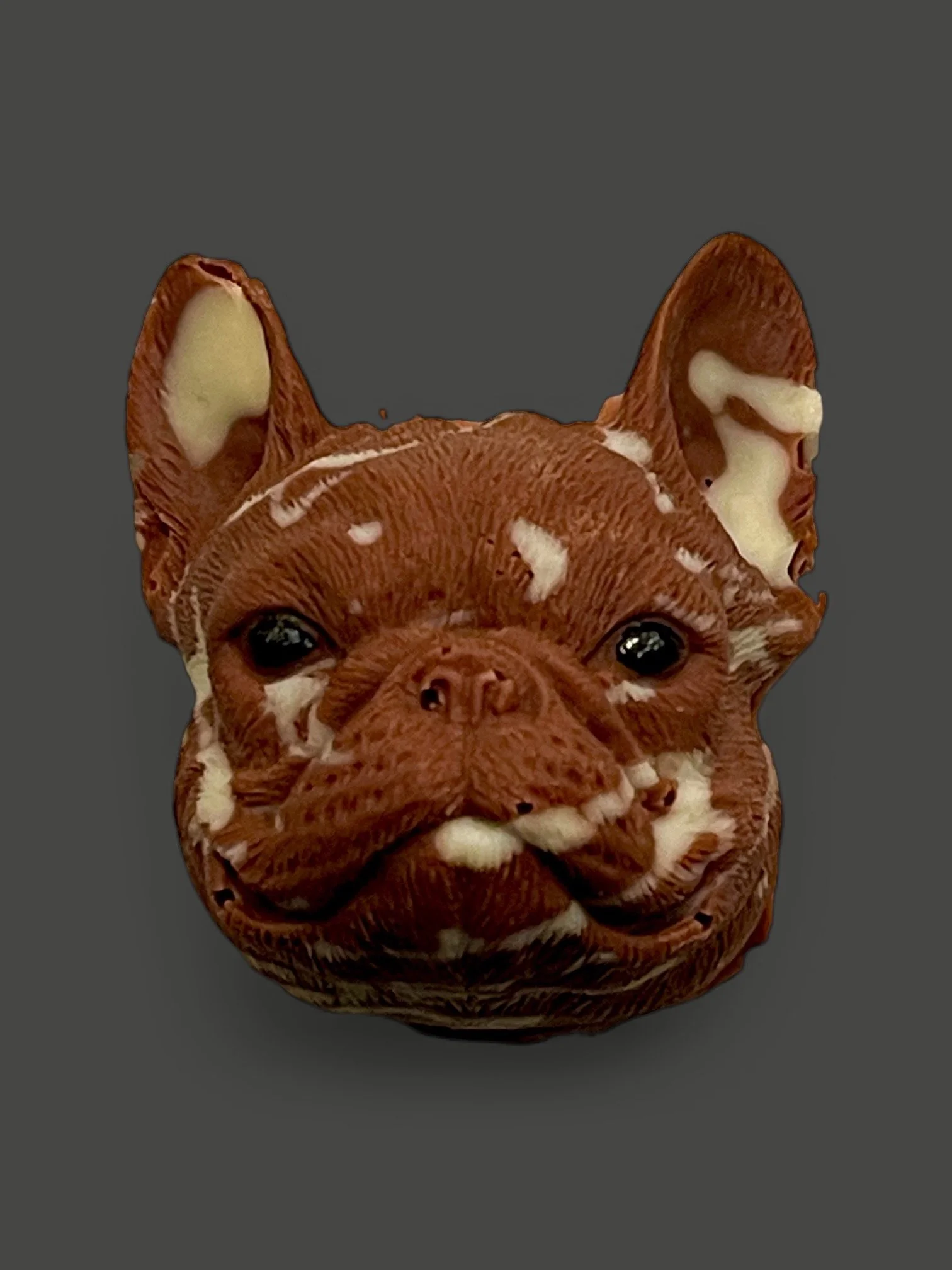 Frenchie IMG_4497.JPG.jpeg