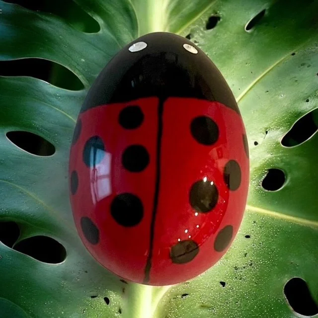 Lady Bug Egg 9D548FDC-6E64-4CC5-89EC-968F2780CB64.JPG.jpeg