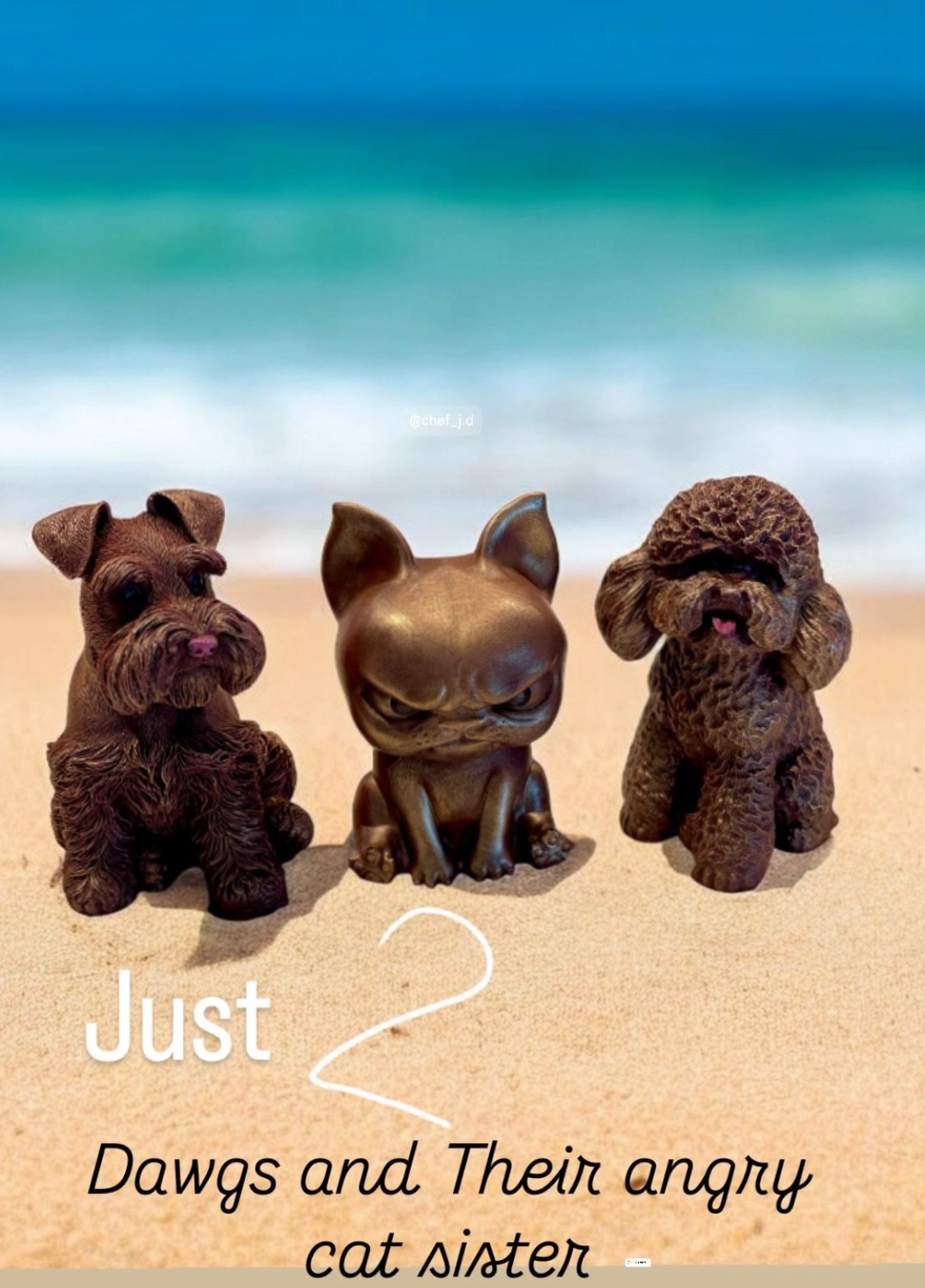 Dog Screenshot 2026-03-05 at 5.55.58 PM.jpeg