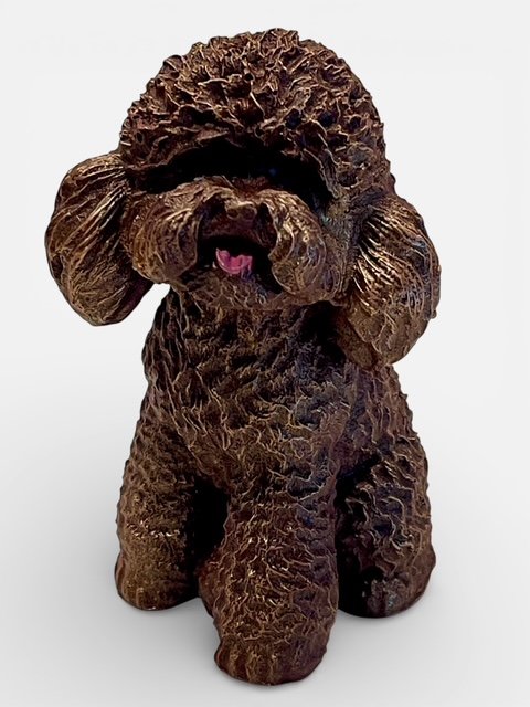 Dog Photoroom_20260305_162142.JPG.jpeg