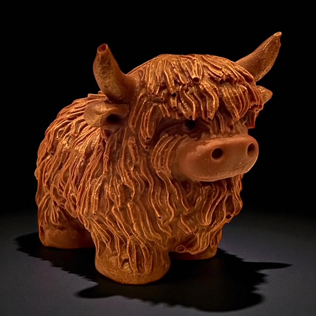 Daisy the Highland Cow