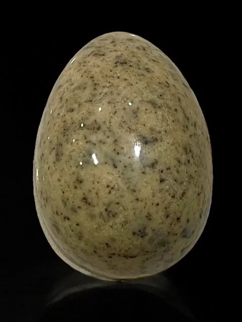 Egg cookie and cream Photoroom_20250414_185229.JPEG.jpeg