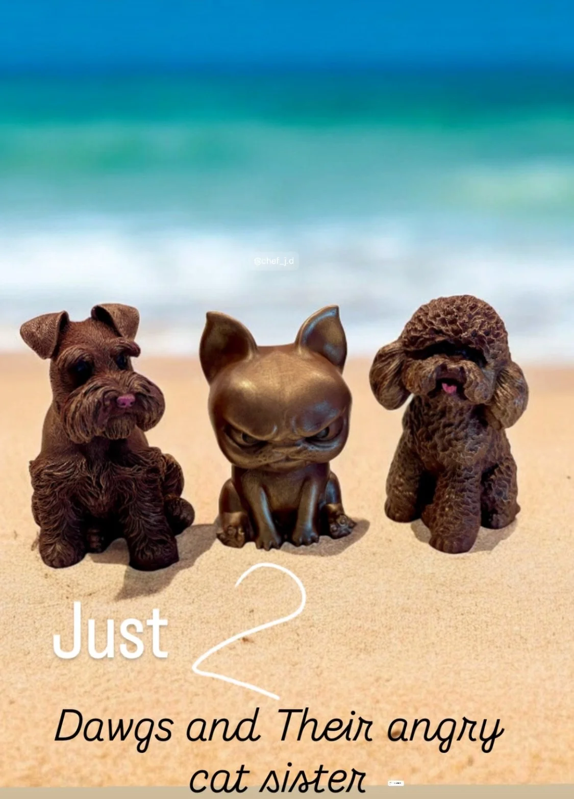 Dog Screenshot 2026-03-05 at 5.55.58 PM.jpeg