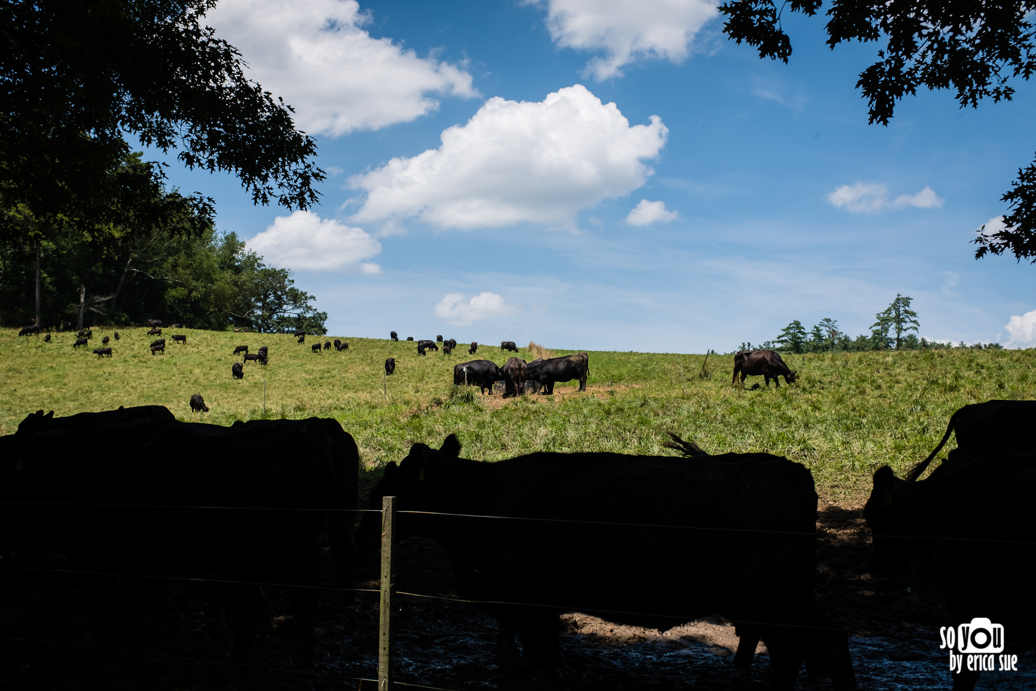 so-you-by-erica-sue-charlotte-asheville-nc-things-to-do-fuji-x100f-143.jpg