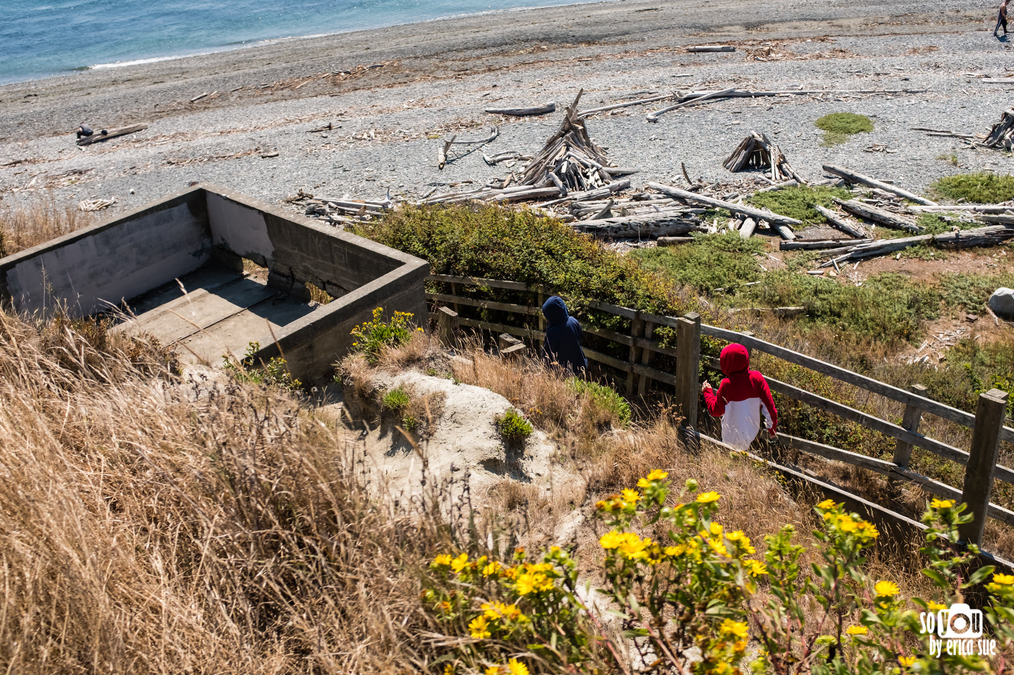 so-you-by-erica-sue-seattle-mt-rainier-anacortes-whale-watching-travel-2795.jpg