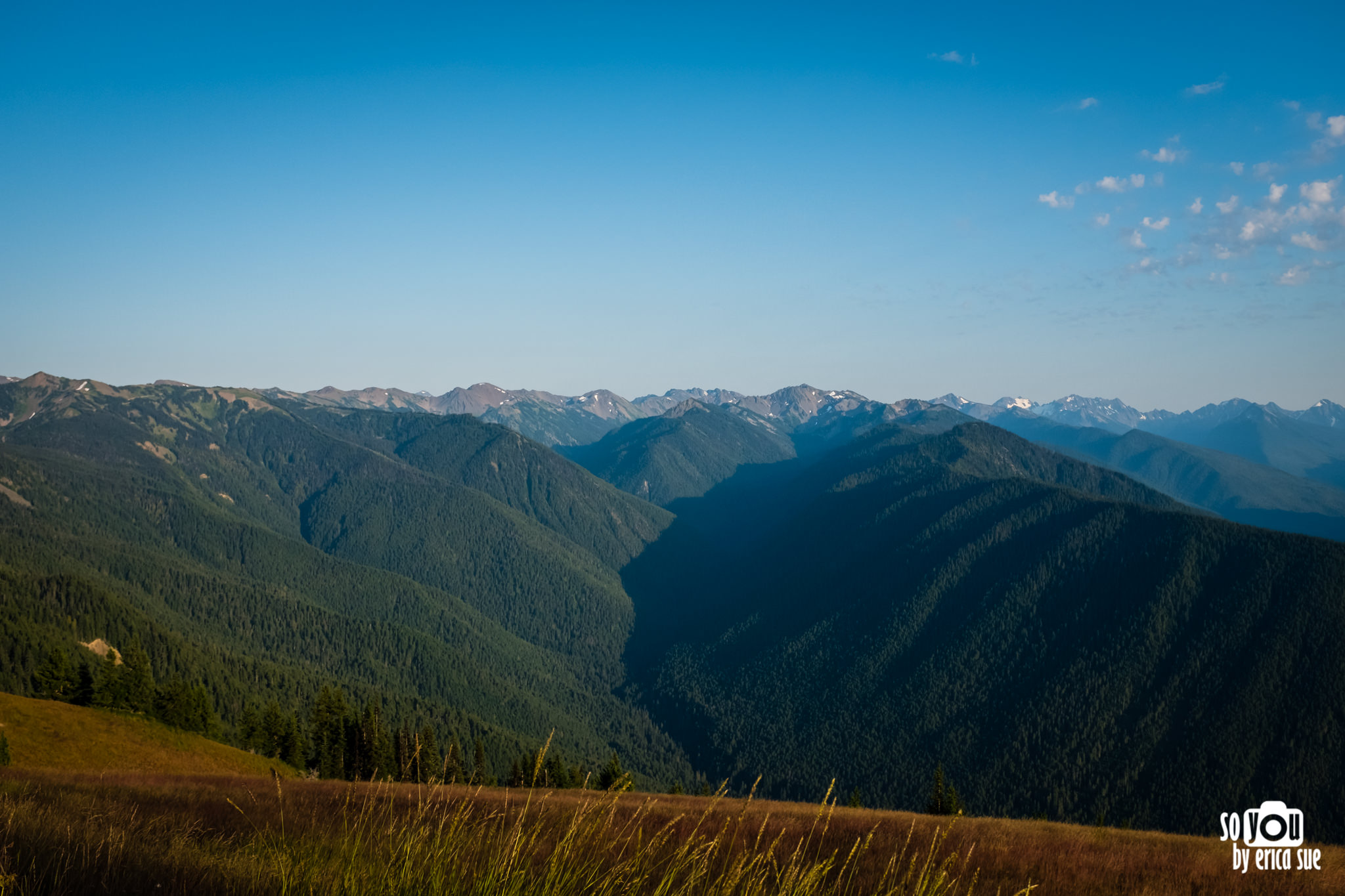 so-you-by-erica-sue-travels-olympic-national-park-road-trip-itinerary-3106.JPG