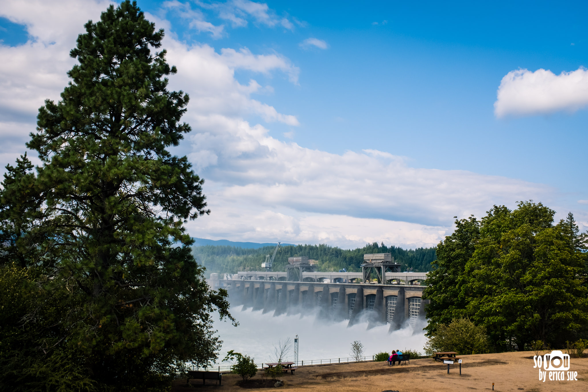 so-you-by-erica-sue-portland-things-to-do-multnomah-falls-bonneville-dam-3768.JPG