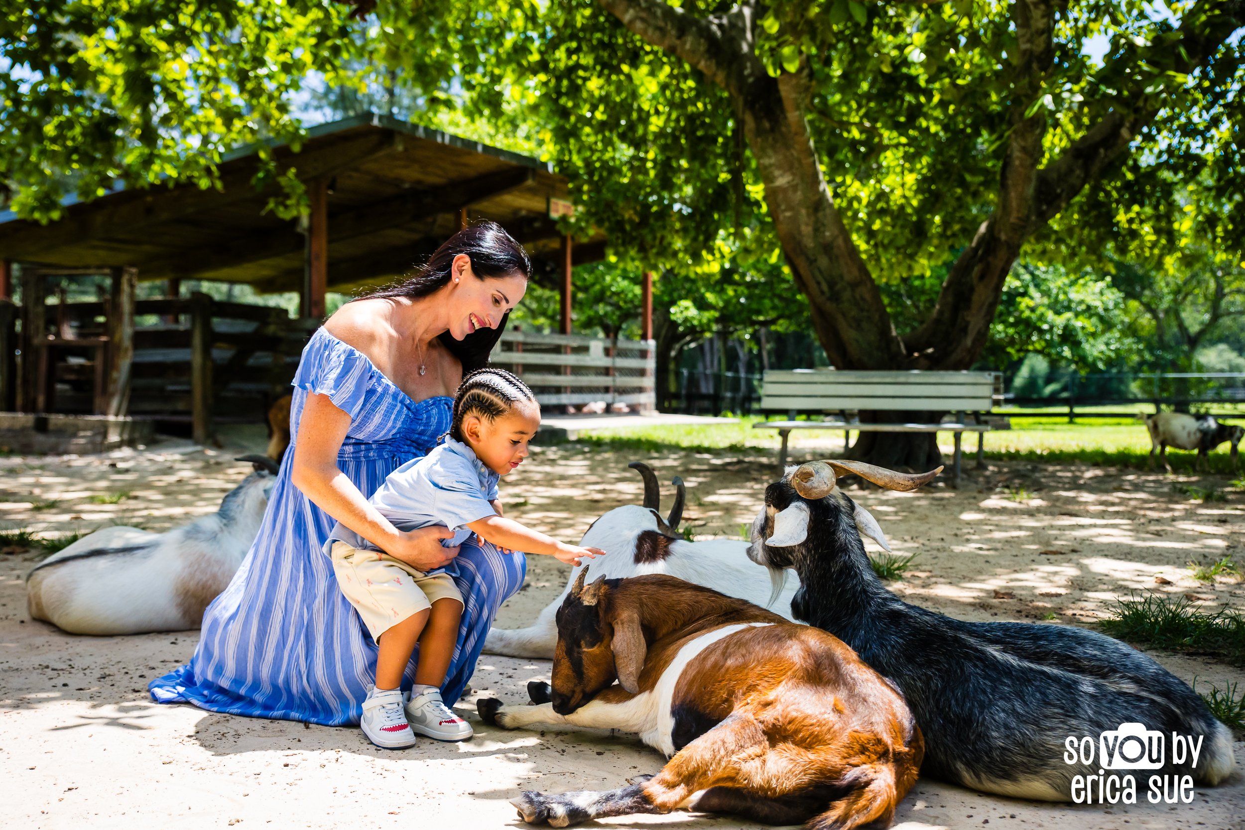 33-caitlin-maternity-amelia-earhart-park-hialiah-fl-photographer-so-you-by-erica-sue-ES3_0093.JPG