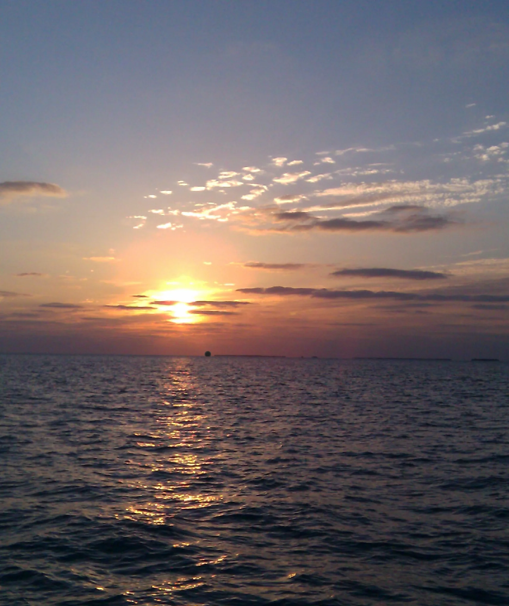 IMAG0034.jpg