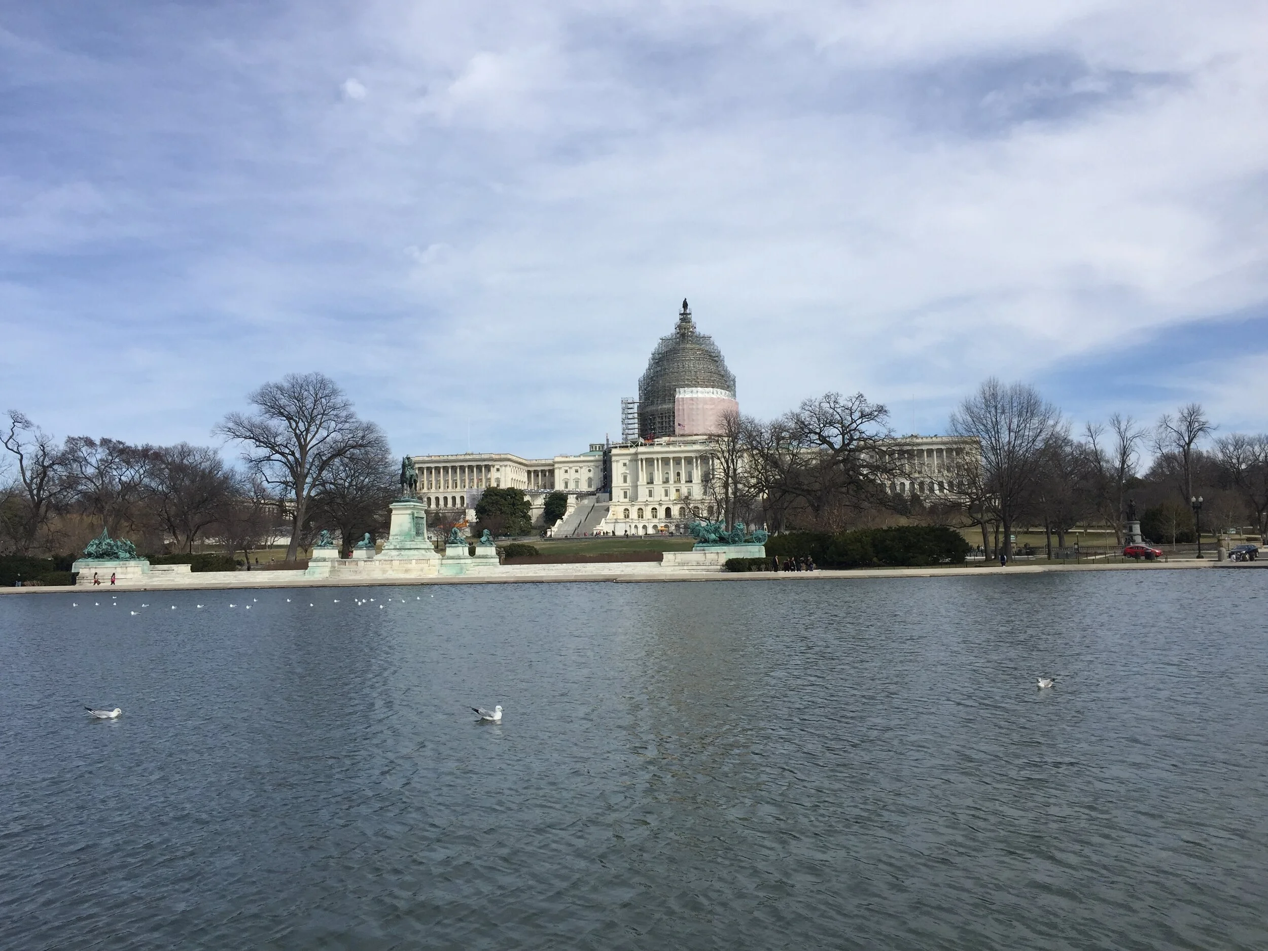 Kate Brown: U.S. Senate and Supreme Court Case