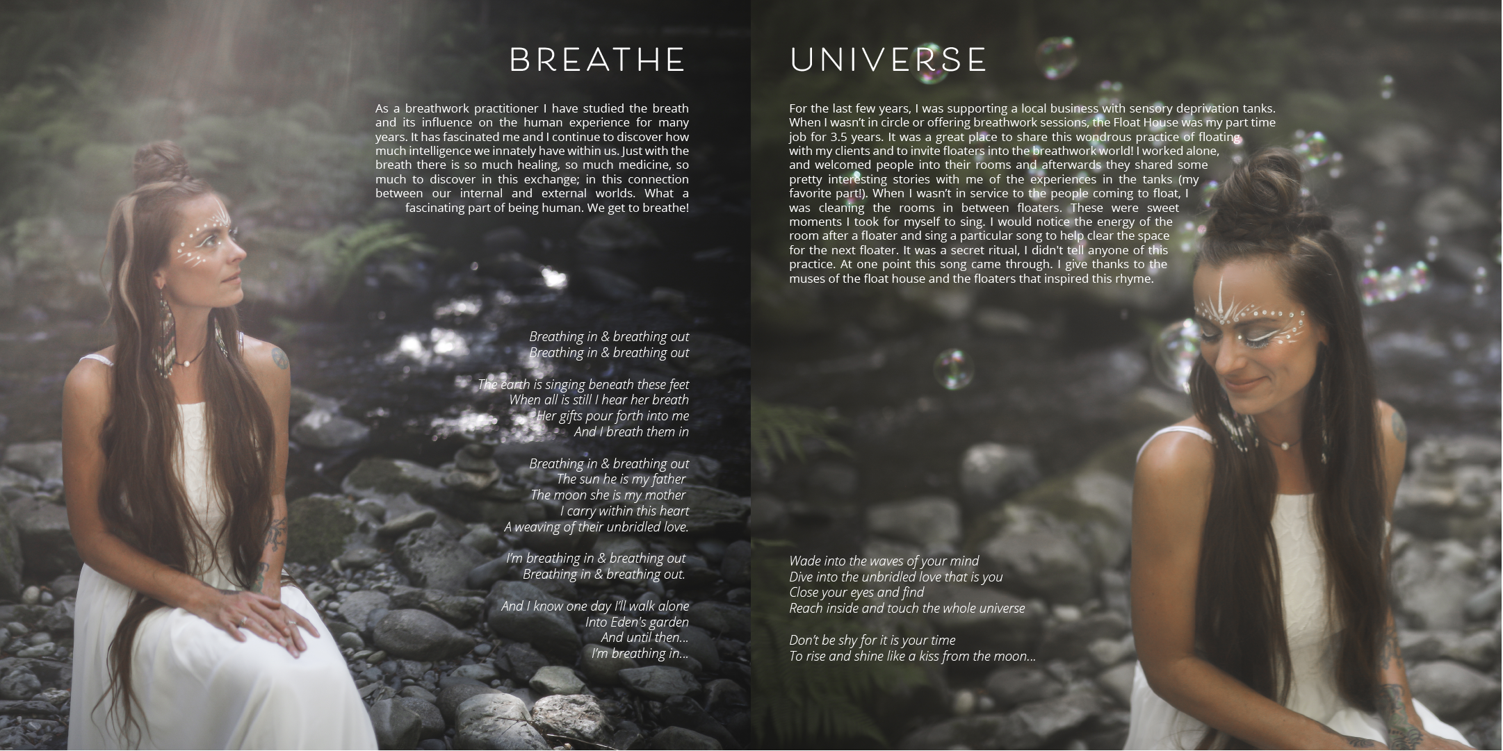 Dream into this Dream Booklet-04.png