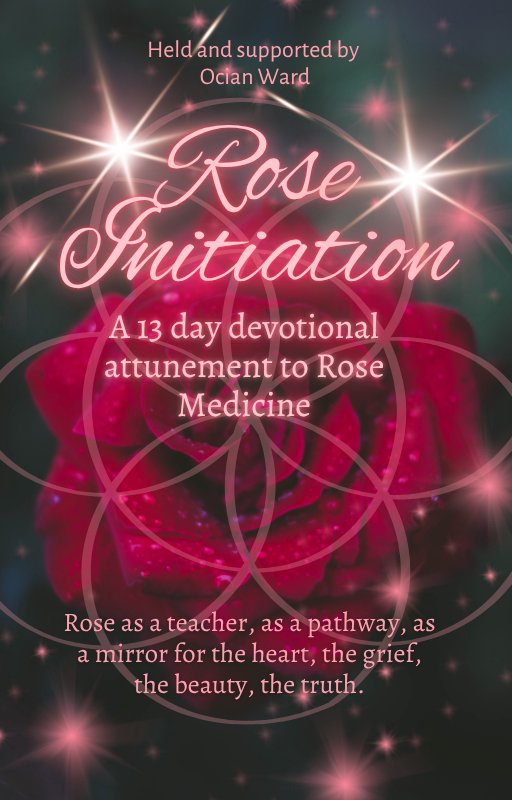 13 Day Rose Attunement