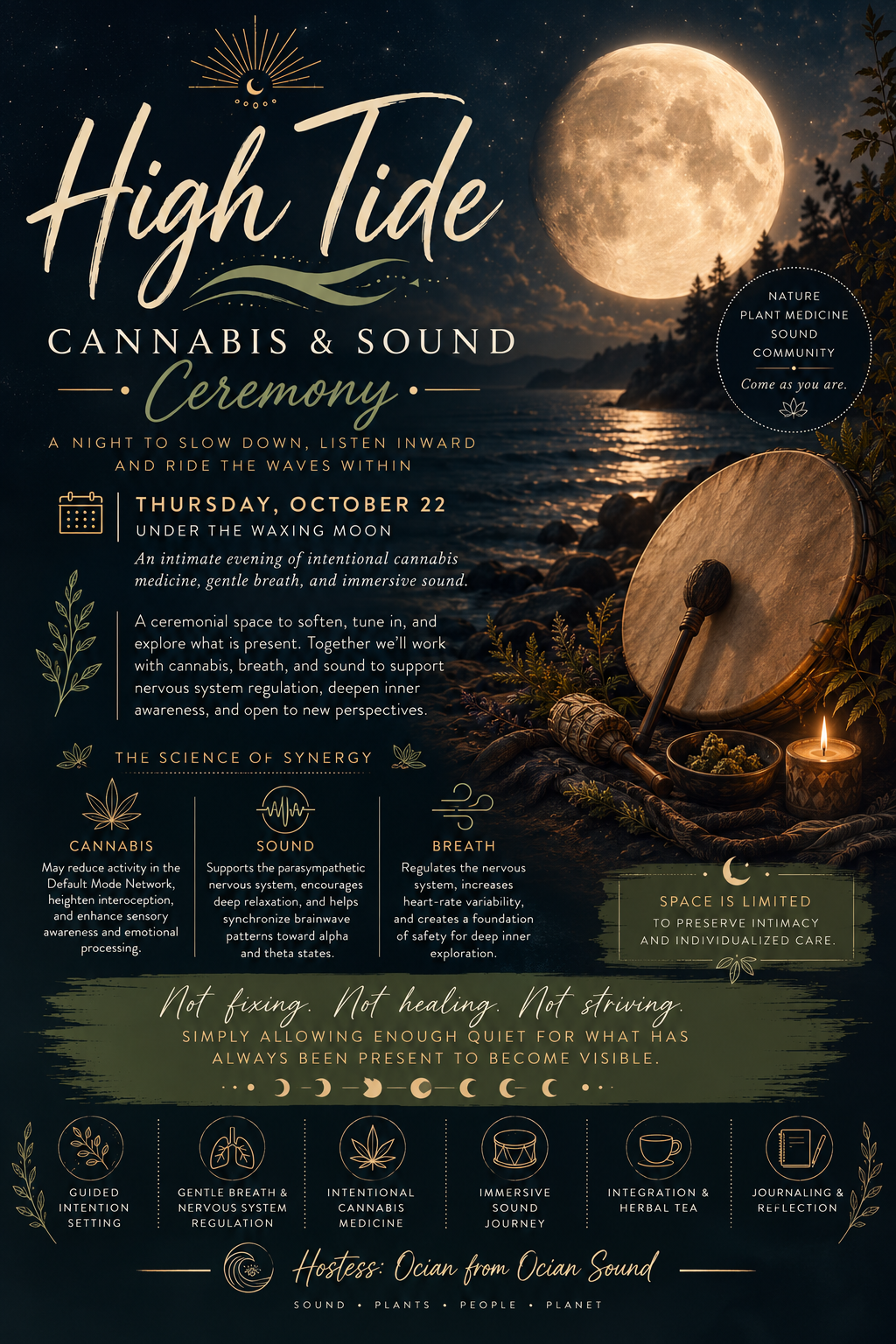 High Tide ~ Full Moon Cannabis &amp; Sound Ceremony