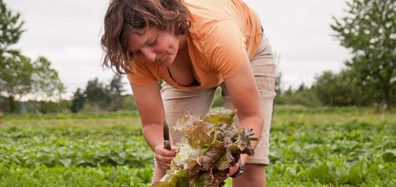 Linehan_dancing_roots_farm_028.jpg