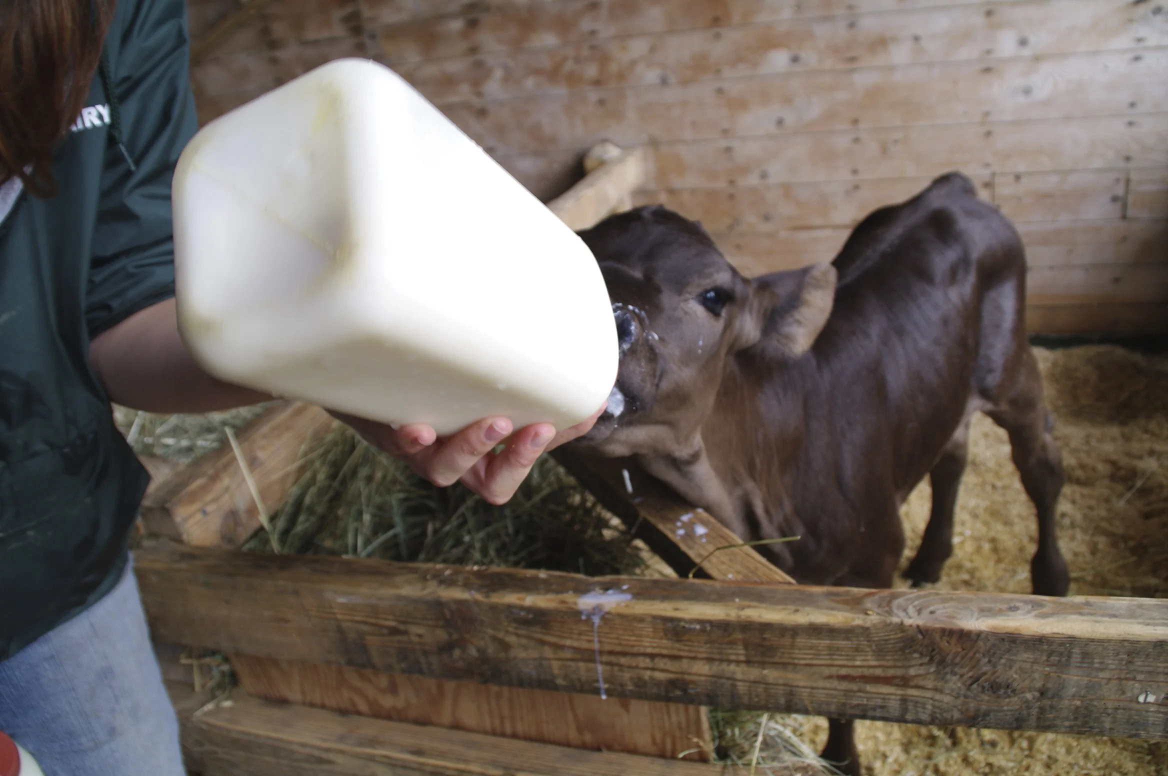 CFS and NOC Animal Welfare Lawsuit will Proceed!