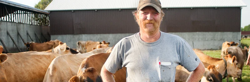 Join NOC's Campaign to Restore Fairness in Organic Dairy