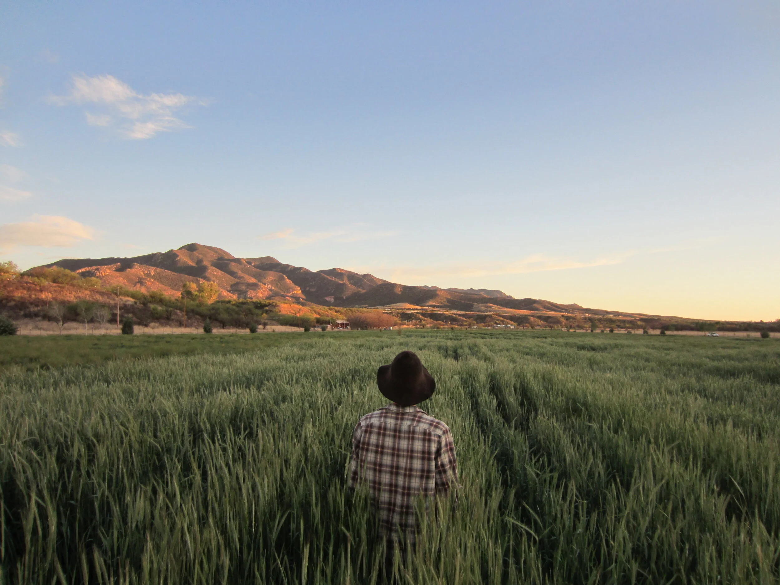 NOC Weighs in on the Climate Crisis