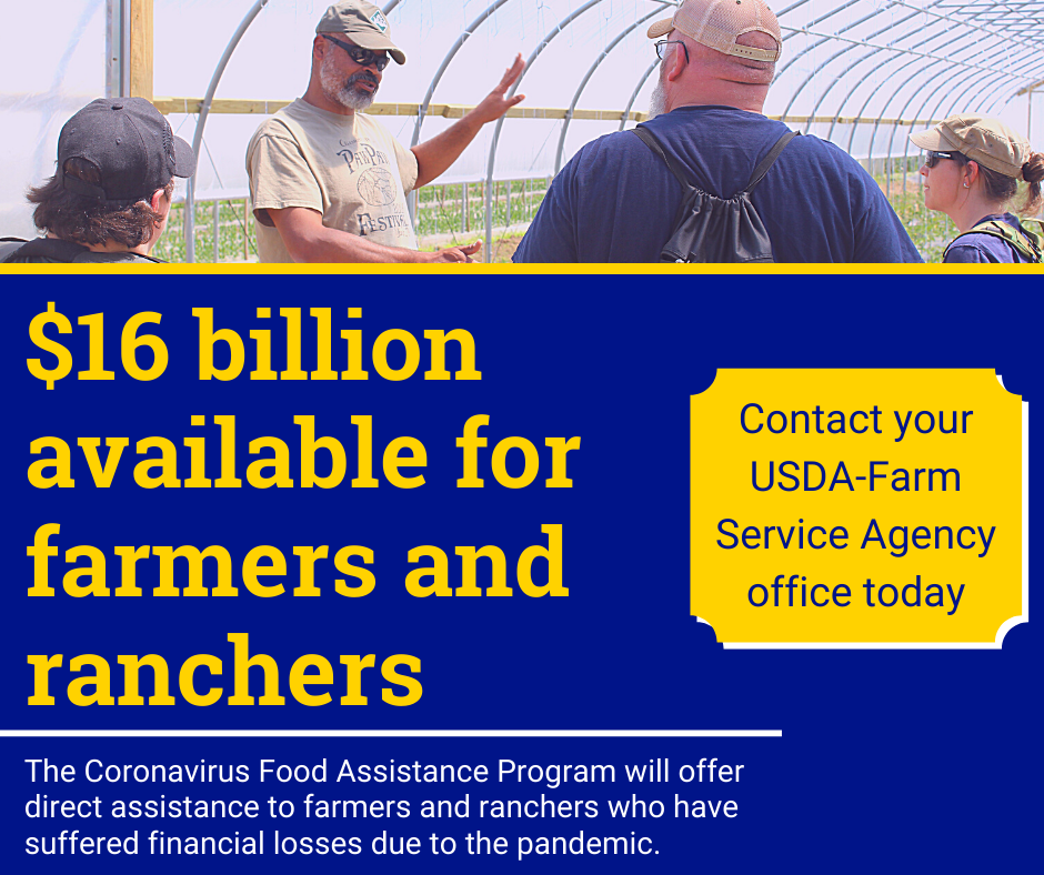 Apply ASAP for the Coronavirus Food Assistance Program