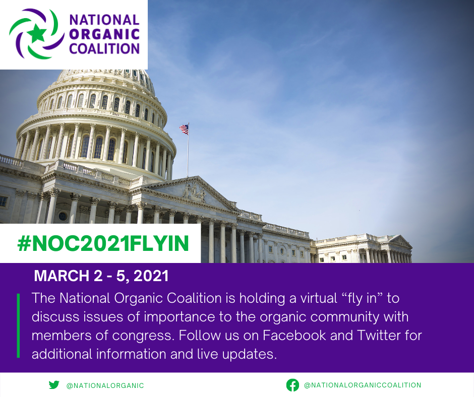 NOC Zooms in for Virtual Fly-in