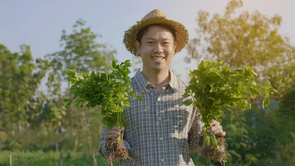 NOC Asks USDA to Create a More Inclusive Organic Program