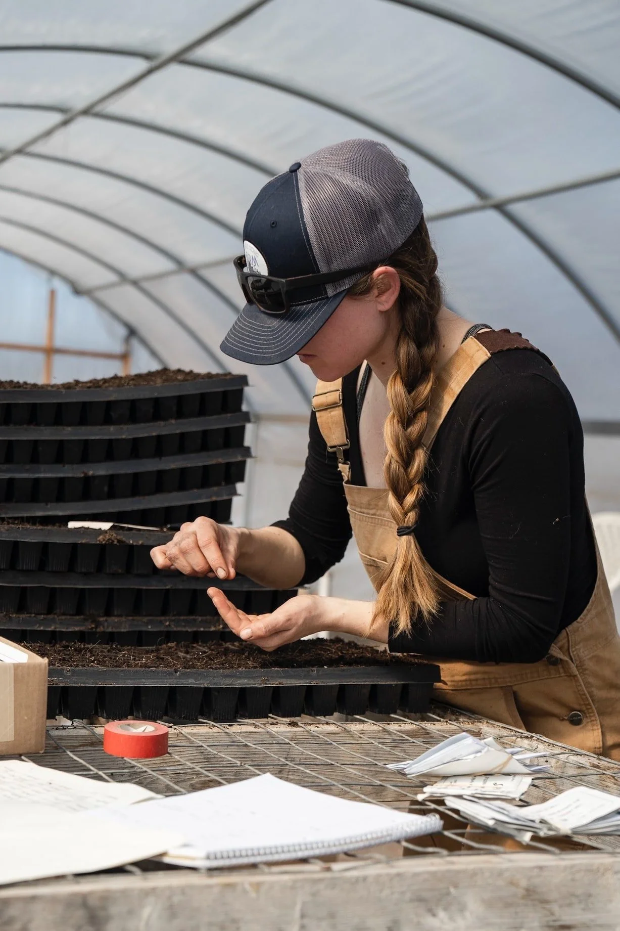 USDA Announces Historic $300 Million Plan to Support Current &amp; Transitioning Organic Farmers