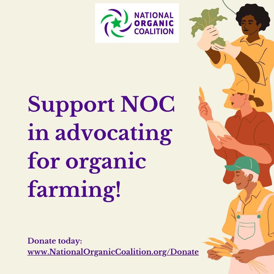 Support Organic Advocacy in Your Year-End Giving
