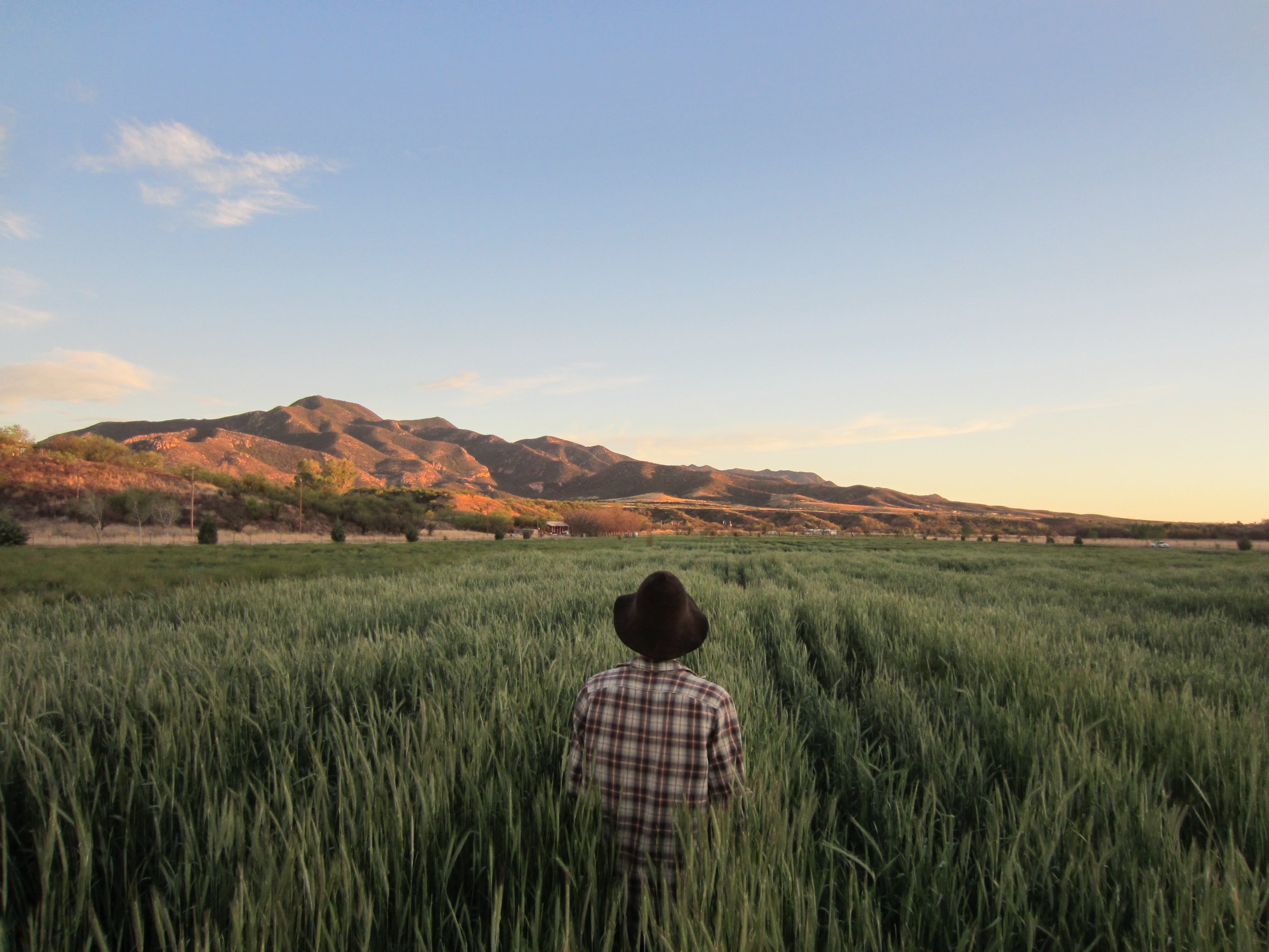 NOC Champions Bills to Increase Funding for Organic Research