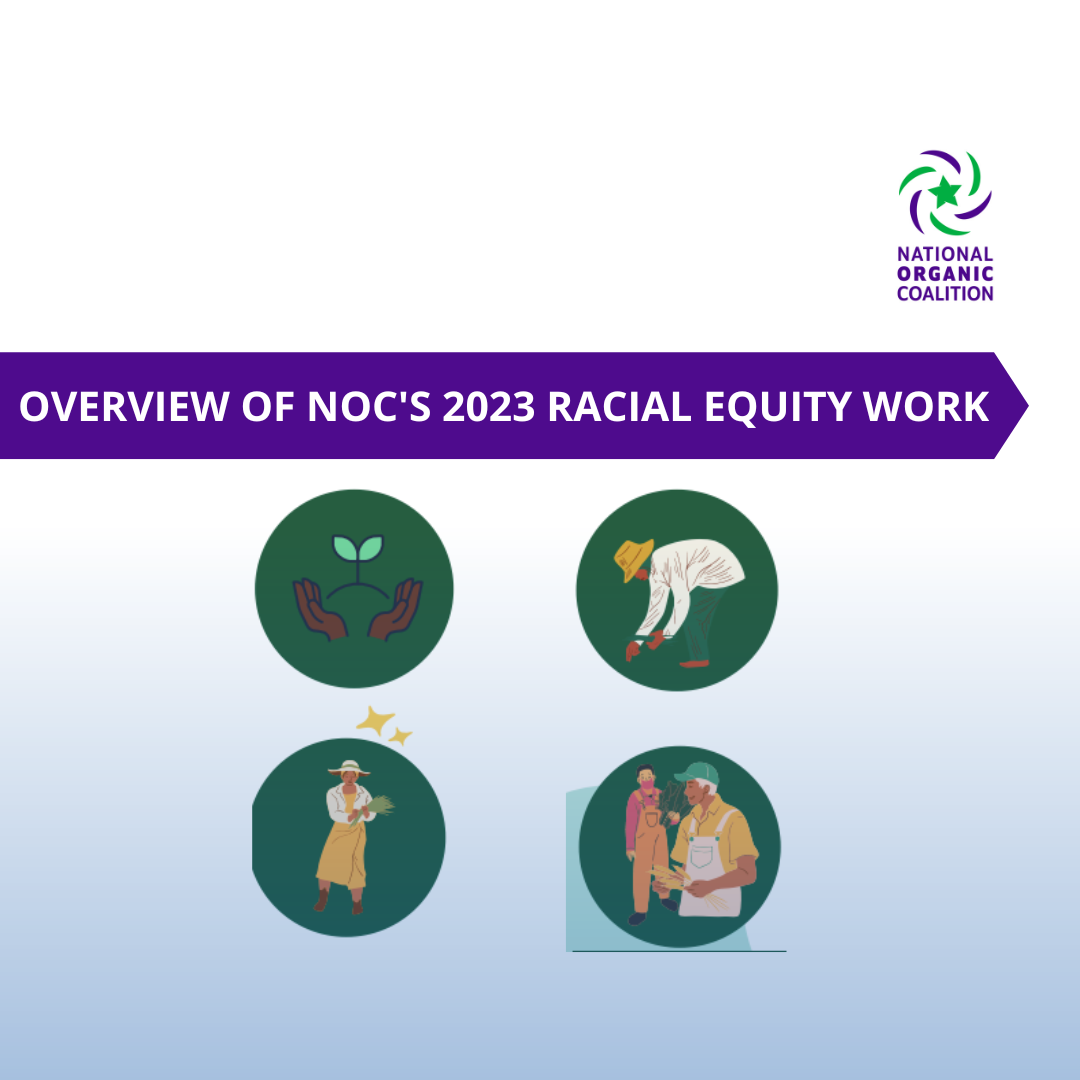 An Overview of NOC's 2023 Racial Equity Work 