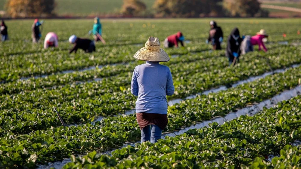 Court Denies Challenge to Organic Grower Group Certification
